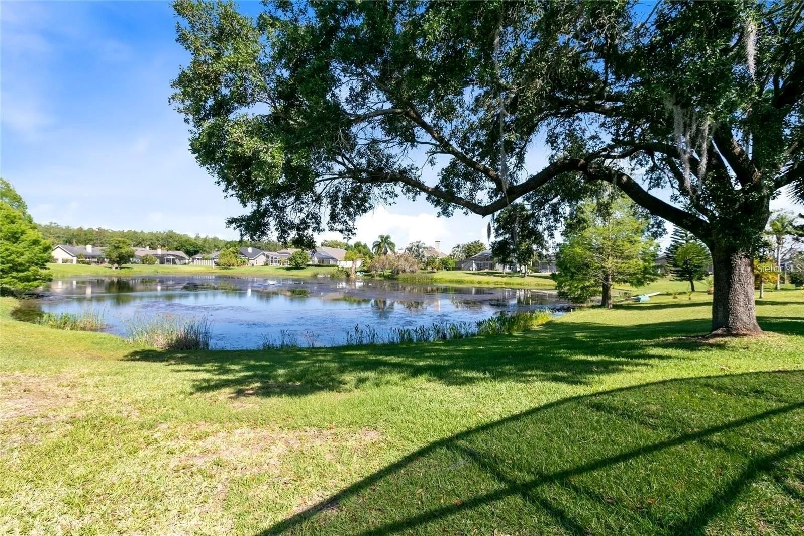 **ABSOLUTELY GORGEOUS POOL HOME IN HUNTERS CREEK** Discover this stunning home nestled in the heart of Hunters Creek, with Orlando's best attractions just minutes away. This move-in-ready gem features an **in-ground pool with serene lake views**—a perfect oasis for relaxation or entertaining. Recently remodeled to perfection, the home boasts **new porcelain flooring**, fresh interior and exterior paint, and a modernized look with **popcorn ceilings removed**. The **spacious family room** includes a cozy fireplace, while the chef-inspired kitchen is equipped with **stainless steel appliances, granite countertops, ample cabinet space, and a sleek wine refrigerator** in the formal dining area. The **luxurious master suite** is a true retreat, featuring remodeled porcelain flooring and a spa-like en-suite bath with **a seamless glass shower, elegant tilework, and updated fixtures**. Additional updates include remodeled bathrooms, a **high-efficiency A/C unit**, a gas water heater. The beautifully landscaped front yard adds curb appeal, and the included washer, dryer, and refrigerator ensure convenience. This home has been remodeled far beyond expectations—schedule your showing today because **this beauty won’t last long!**