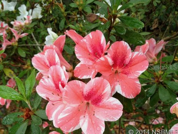 Florida Shores 01 - Residential