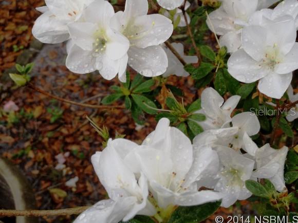 Florida Shores 01 - Residential