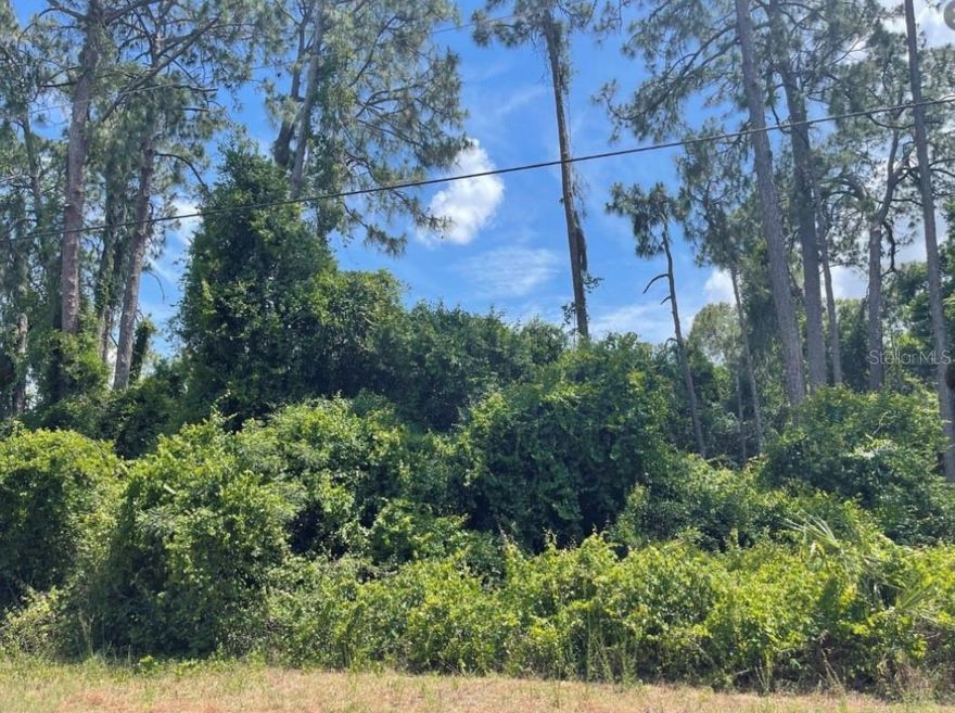 Very nice *OVERSIZED* (approximately 13,450 sqft) vacant lot that is BUILDABLE and is available in North Port on the north side of I75. This area is within 10 minutes to civilization this is the perfect location for you with dozens of parks to choose from and less than an hour from the local beaches!! North Port is a highly desired city in southwest Florida,  Home to the world famous Warm Mineral Springs. PLEASE CALL TO MAKE IT YOURS.