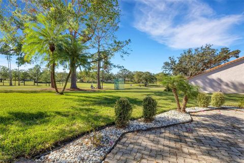 A home in PALM HARBOR