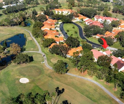 A home in PALM HARBOR