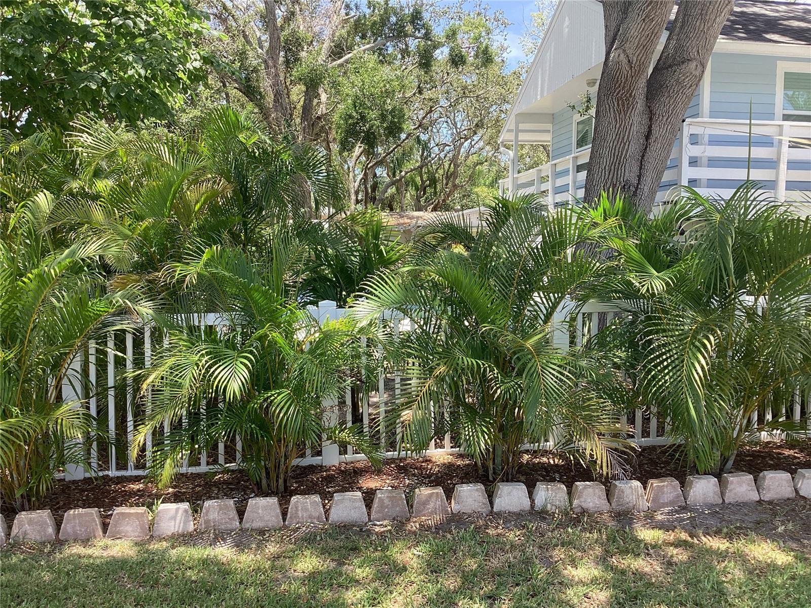 CRYSTAL BEACH REV - Residential