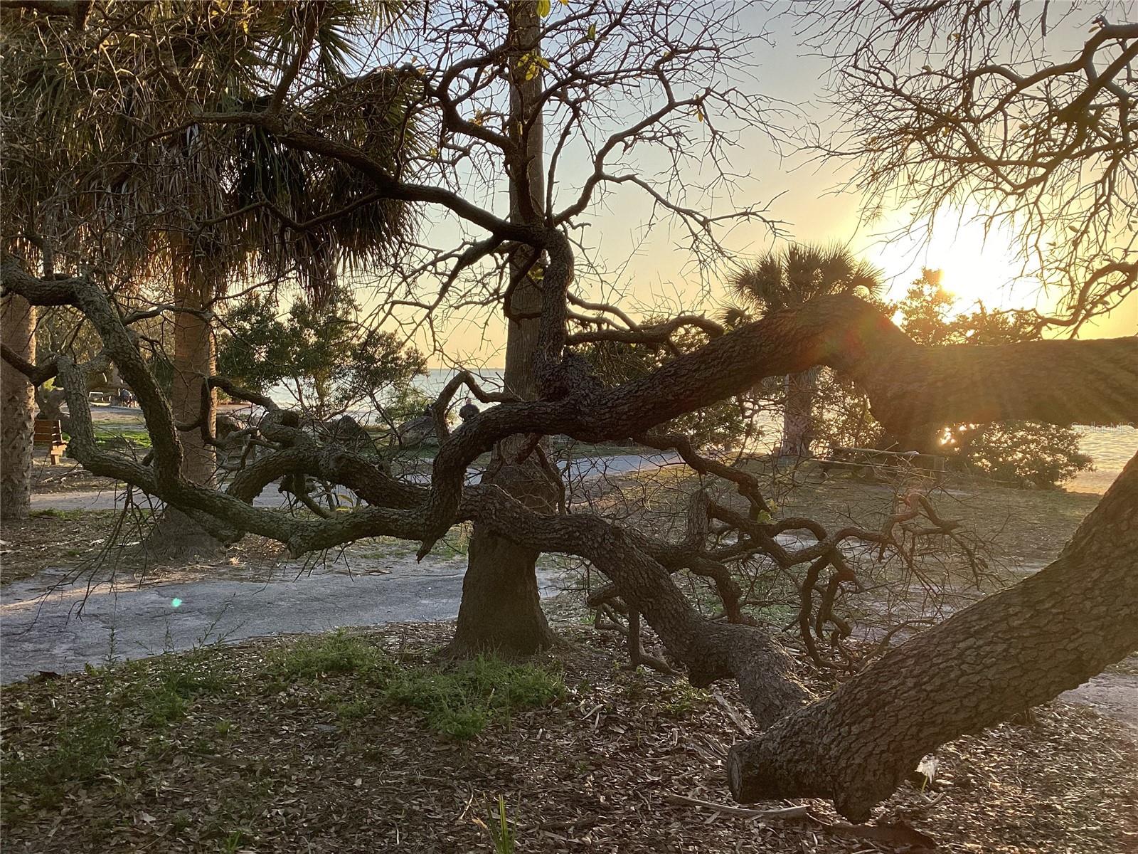 CRYSTAL BEACH REV - Residential