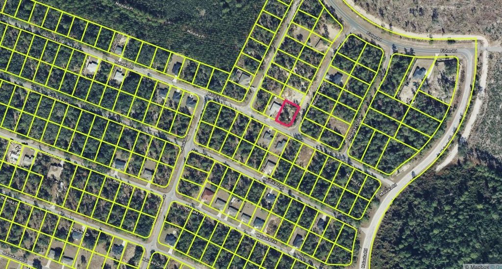 Photo of 0 Malauka Lane, Ocklawaha, FL 32179 (MLS # O6386671)