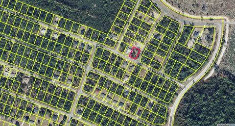 0 MALAUKA LANE OCKLAWAHA FL 32179