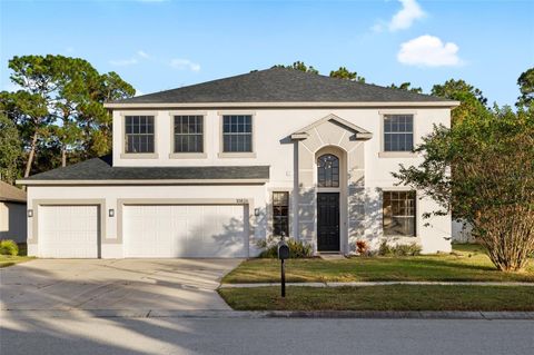 10826 RAIN LILLY PASS LAND O LAKES FL 34638