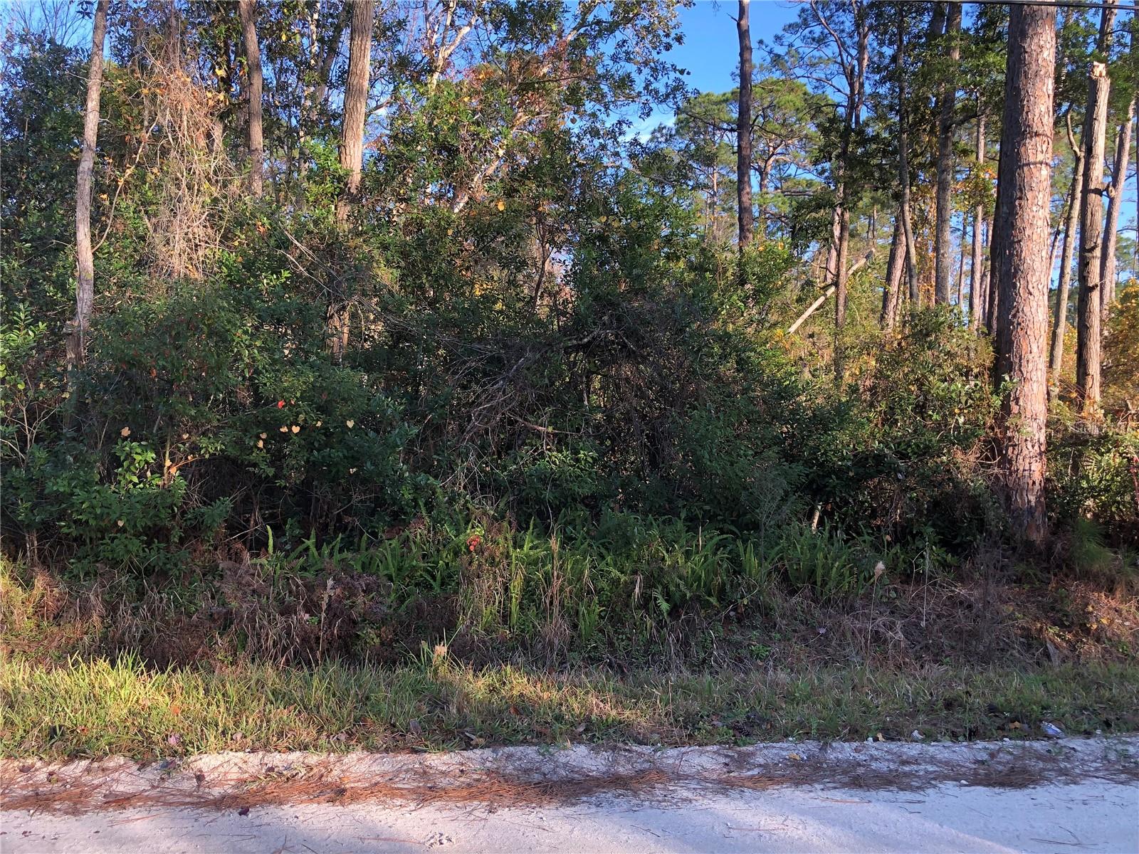 DAYTONA PARK ESTATES SEC E - Land