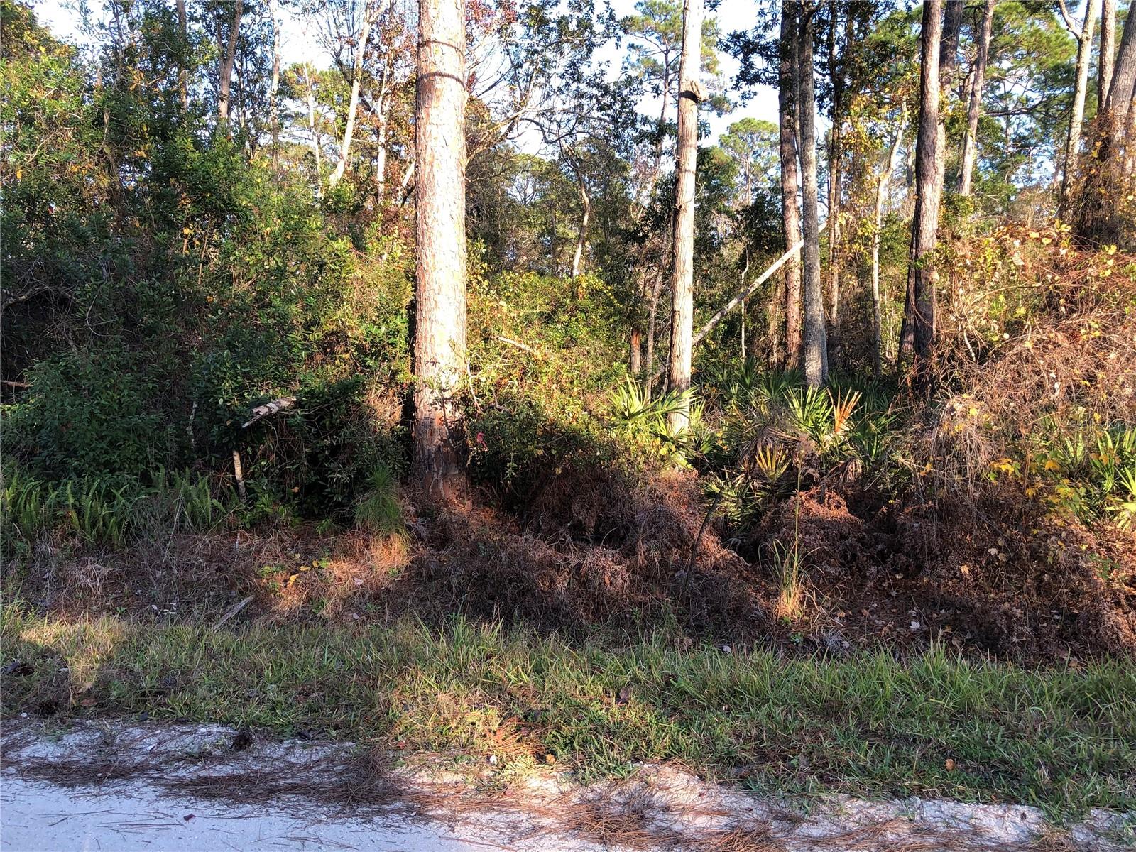 DAYTONA PARK ESTATES SEC E - Land