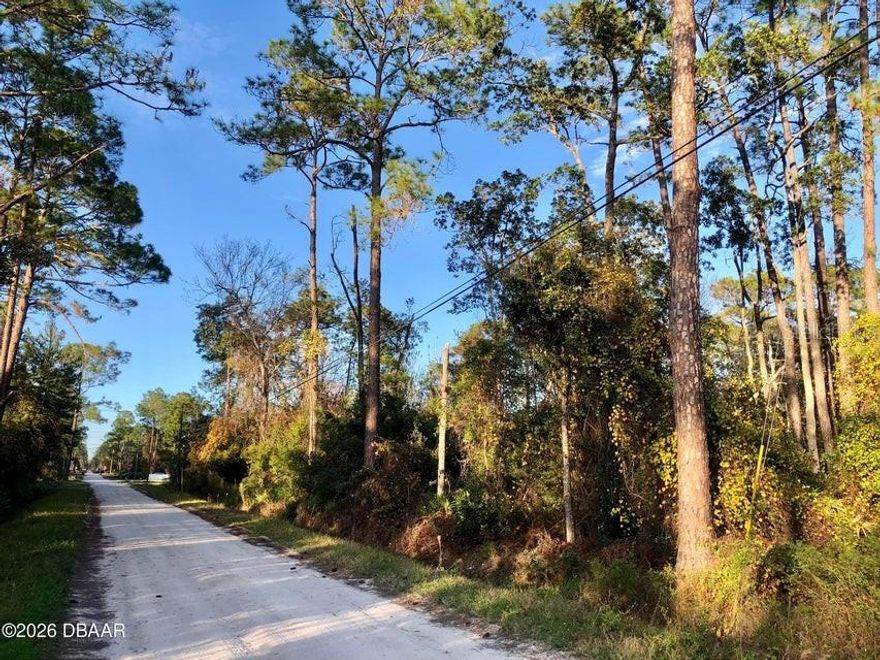 Build your dream home on a quiet country lot. Minutes from Historic Downtown Deland, restaurants, shopping, I-95, I-4, Daytona Beach International Airport, Daytona International Speedway, beaches and so much more. Priced to sell.