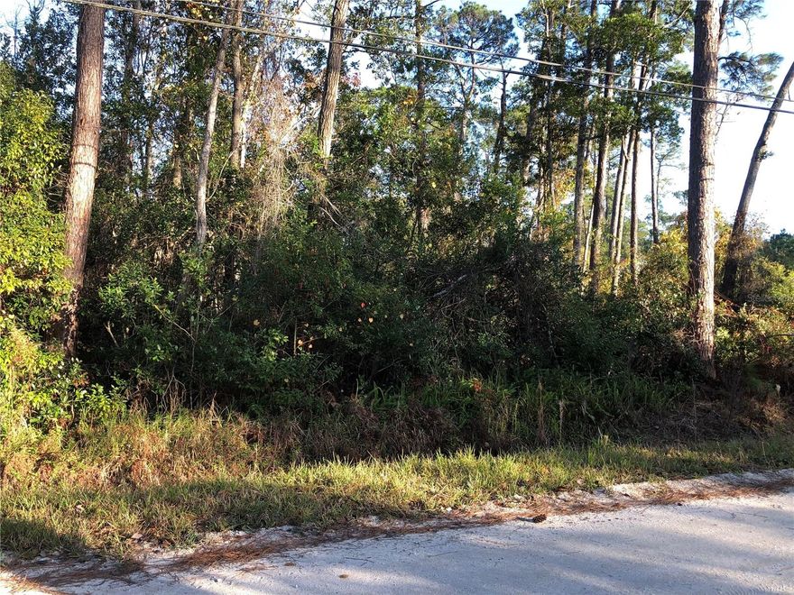 Build your dream home on a quiet country lot. Minutes from Historic Downtown Deland, restaurants, shopping, I-95, I-4, Daytona Beach International Airport, Daytona International Speedway, beaches and so much more. Priced to sell.
