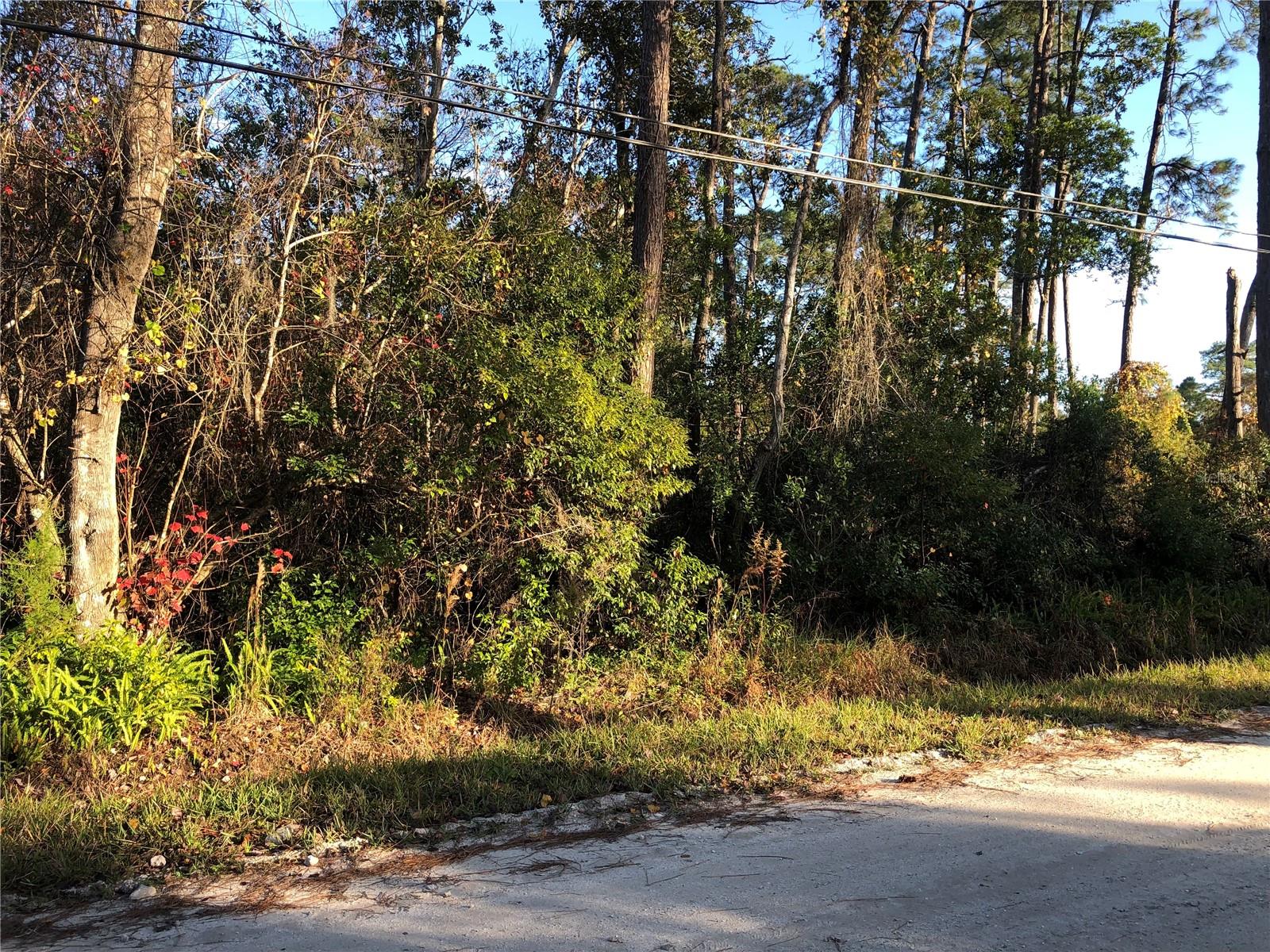 DAYTONA PARK ESTATES SEC E - Land