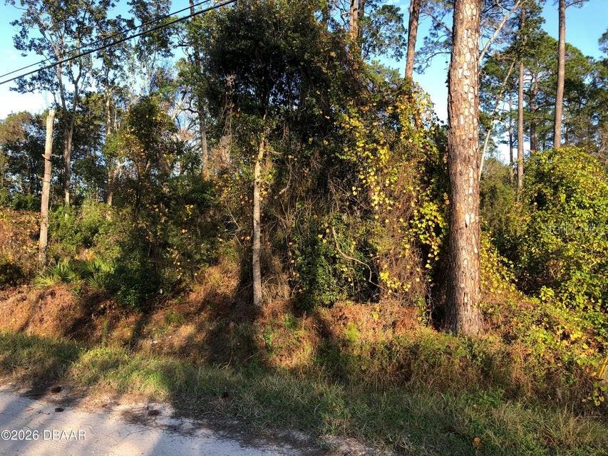 DAYTONA PARK ESTATES SEC E - Land