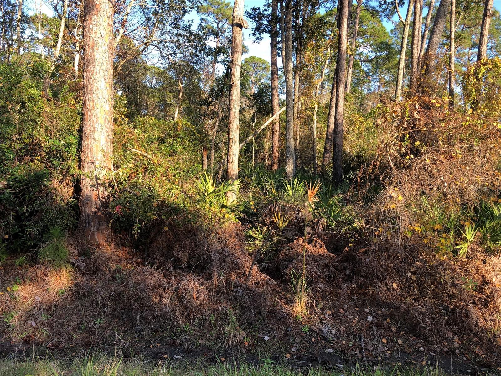 DAYTONA PARK ESTATES SEC E - Land