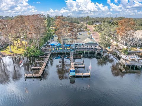 A home in TARPON SPRINGS