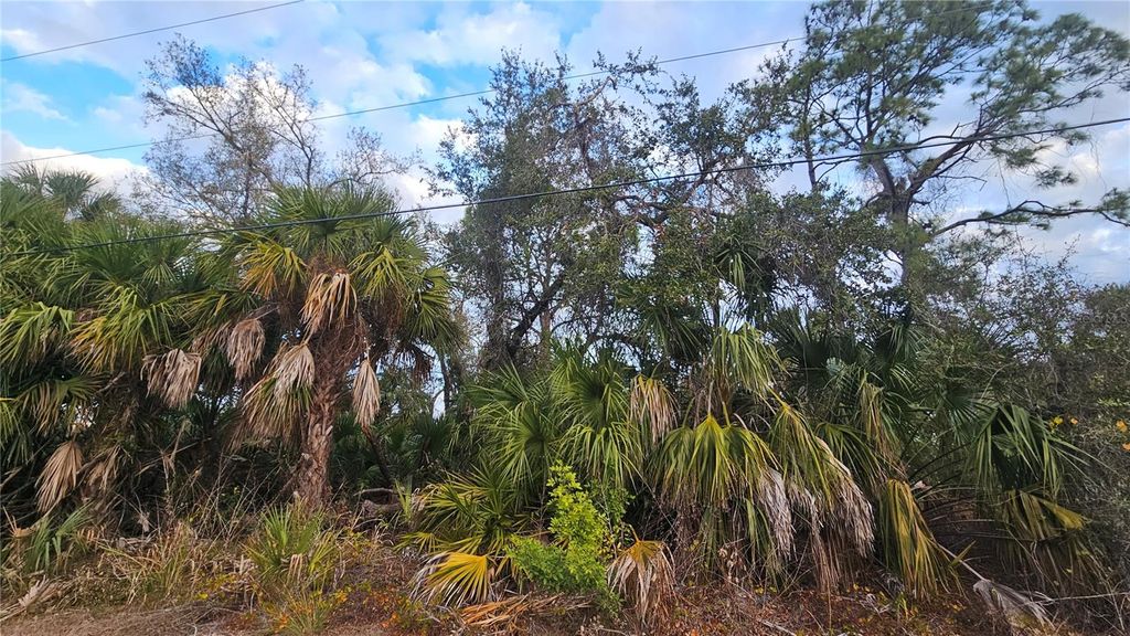 Photo of 15464 Piedmont Avenue, Port Charlotte, FL 33954 (MLS # C7521158)