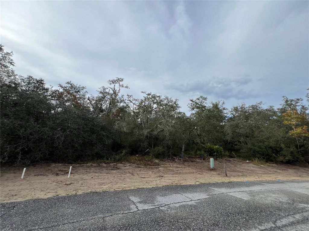 Photo of Kissimmee, FL 34759 (MLS # S5139452)