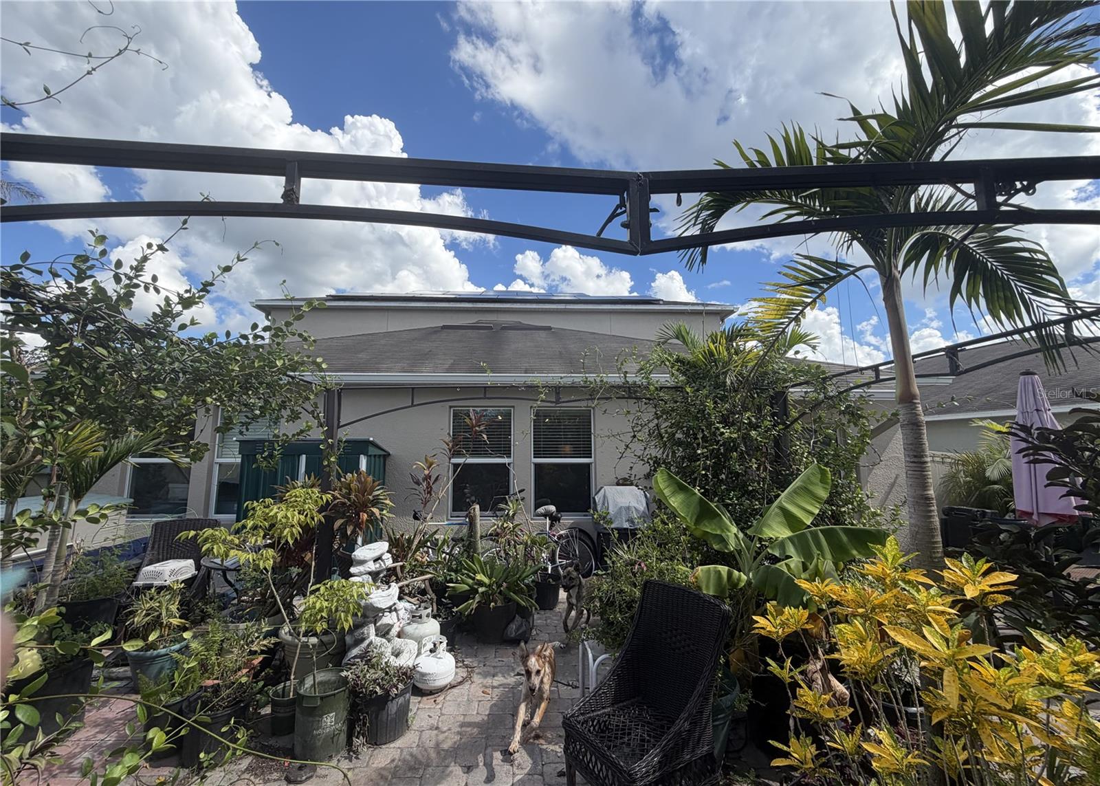 17103 WHITE MANGROVE DRIVE