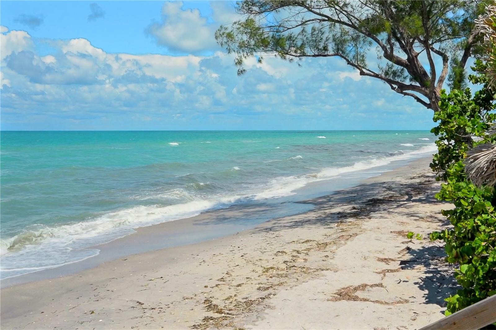 OAK FOREST PH 2 - Residential