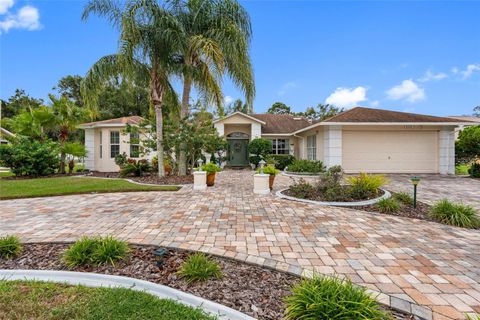 Photo of 8528 Thrasher Court, New Port Richey, FL 34654 (MLS # TB8434286)