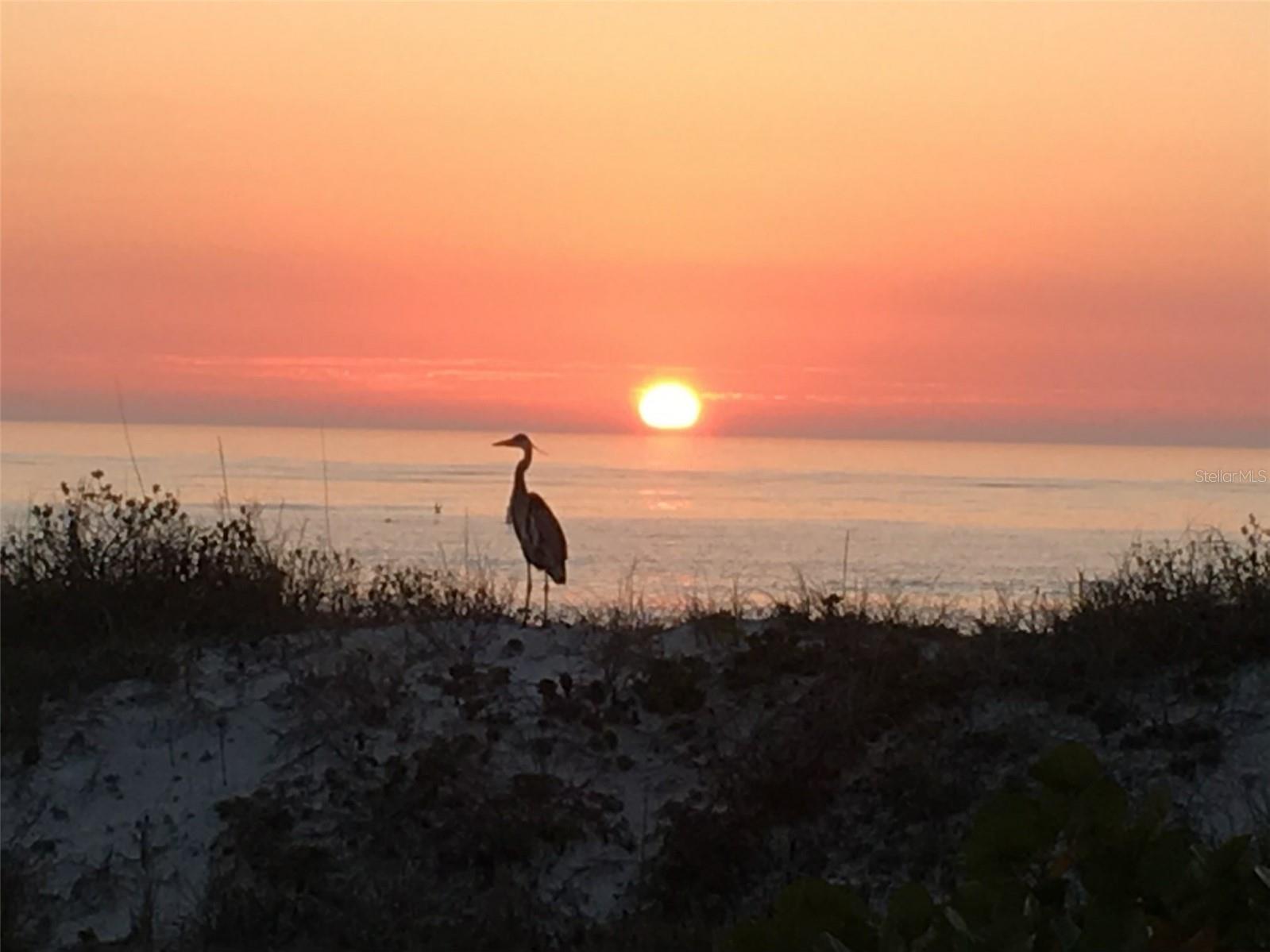 INDIAN ROCKS BEACH - Residential