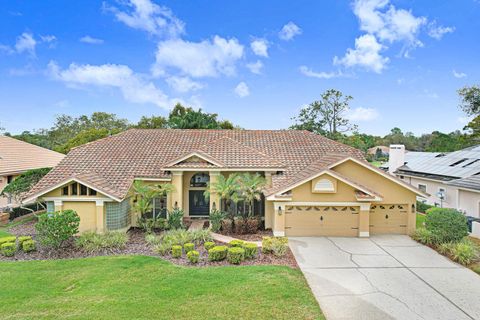 35 KELLEYS TRAIL OLDSMAR FL 34677