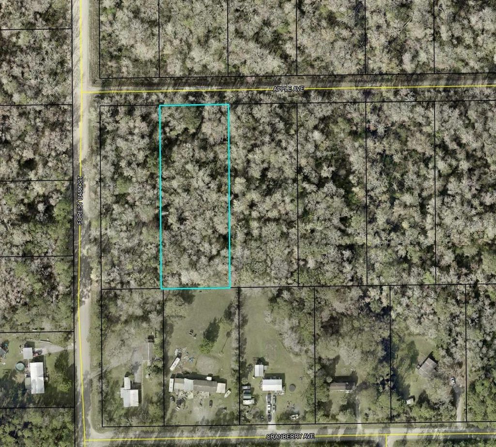 Photo of 3909 Apple Avenue, Bunnell, FL 32110 (MLS # TB8470609)