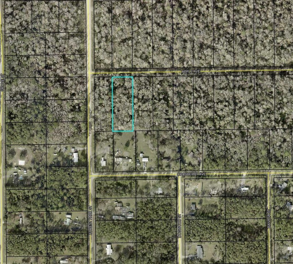 Photo of 3909 Apple Avenue, Bunnell, FL 32110 (MLS # TB8470609)