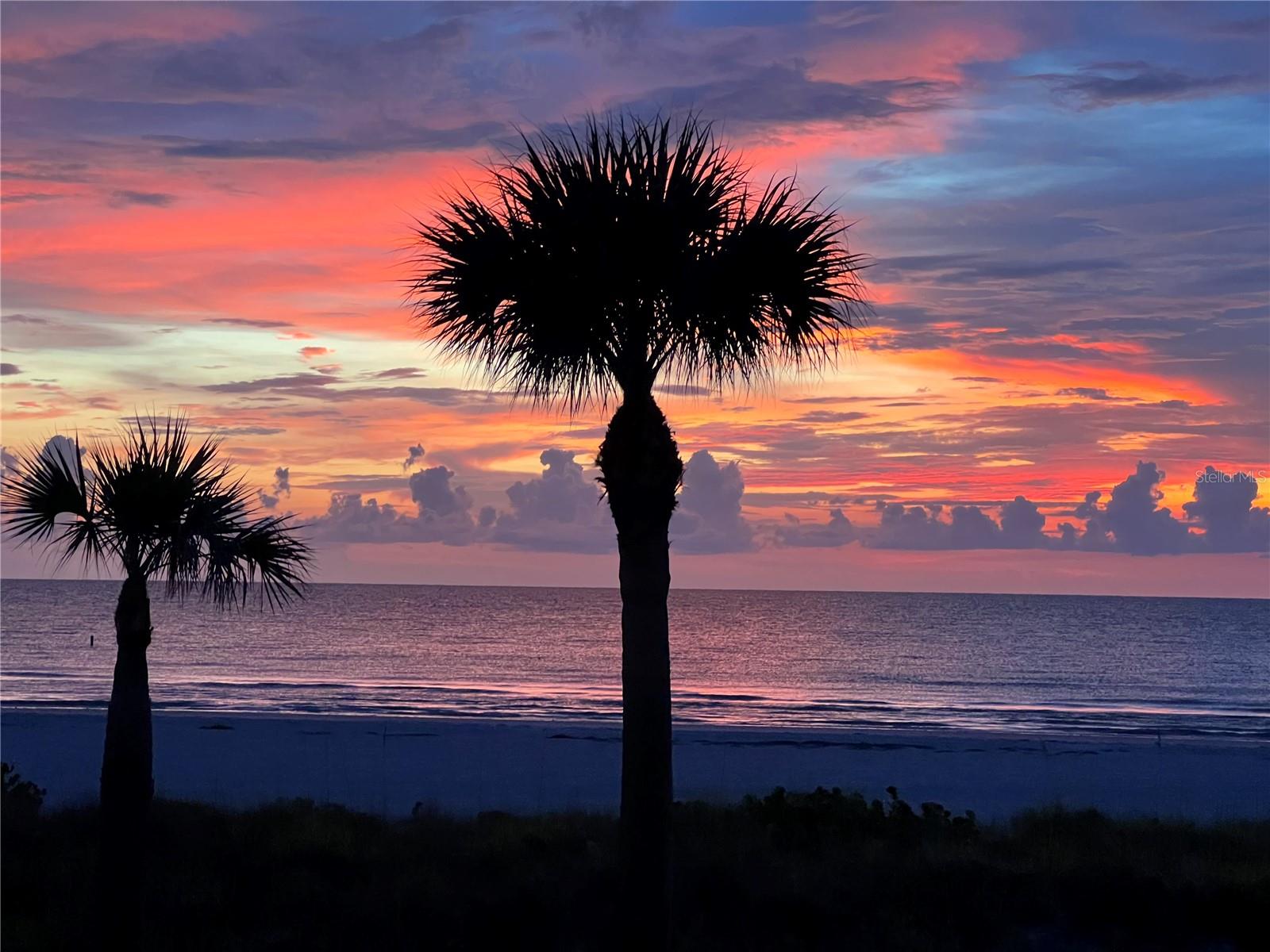 SAND KEY CONDO-SOUTH BEACH 1 - Residential