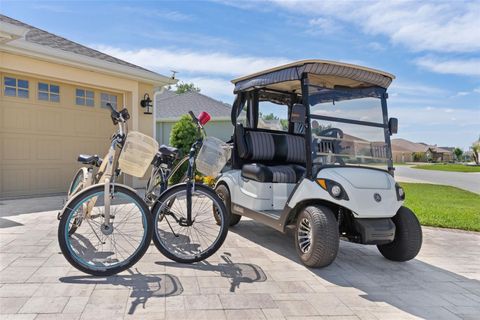Tiny photo for 5991 Barley Path, The Villages, FL 32163 (MLS # OM724032)