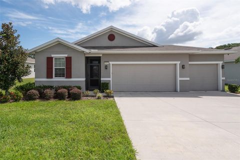 Photo of 8010 Cherrystone Street, Leesburg, FL 34748 (MLS # G5101765)