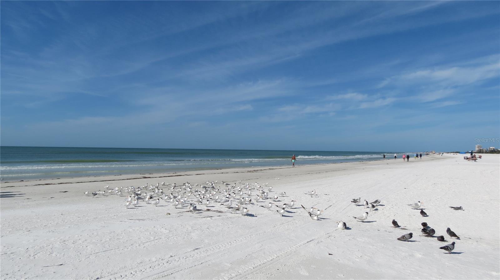 PROVINCIAL GARDENS - Residential