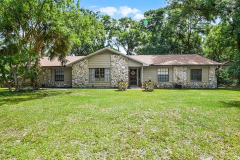 889 TORCHWOOD DRIVE DELAND FL 32724