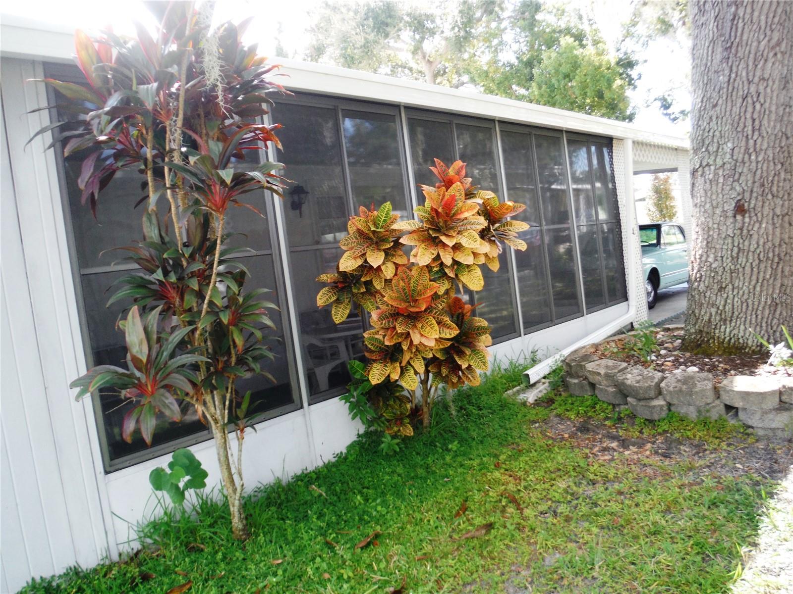 BRIAR CREEK MOBILE HOME COMMUNITY II CONDO - Residential