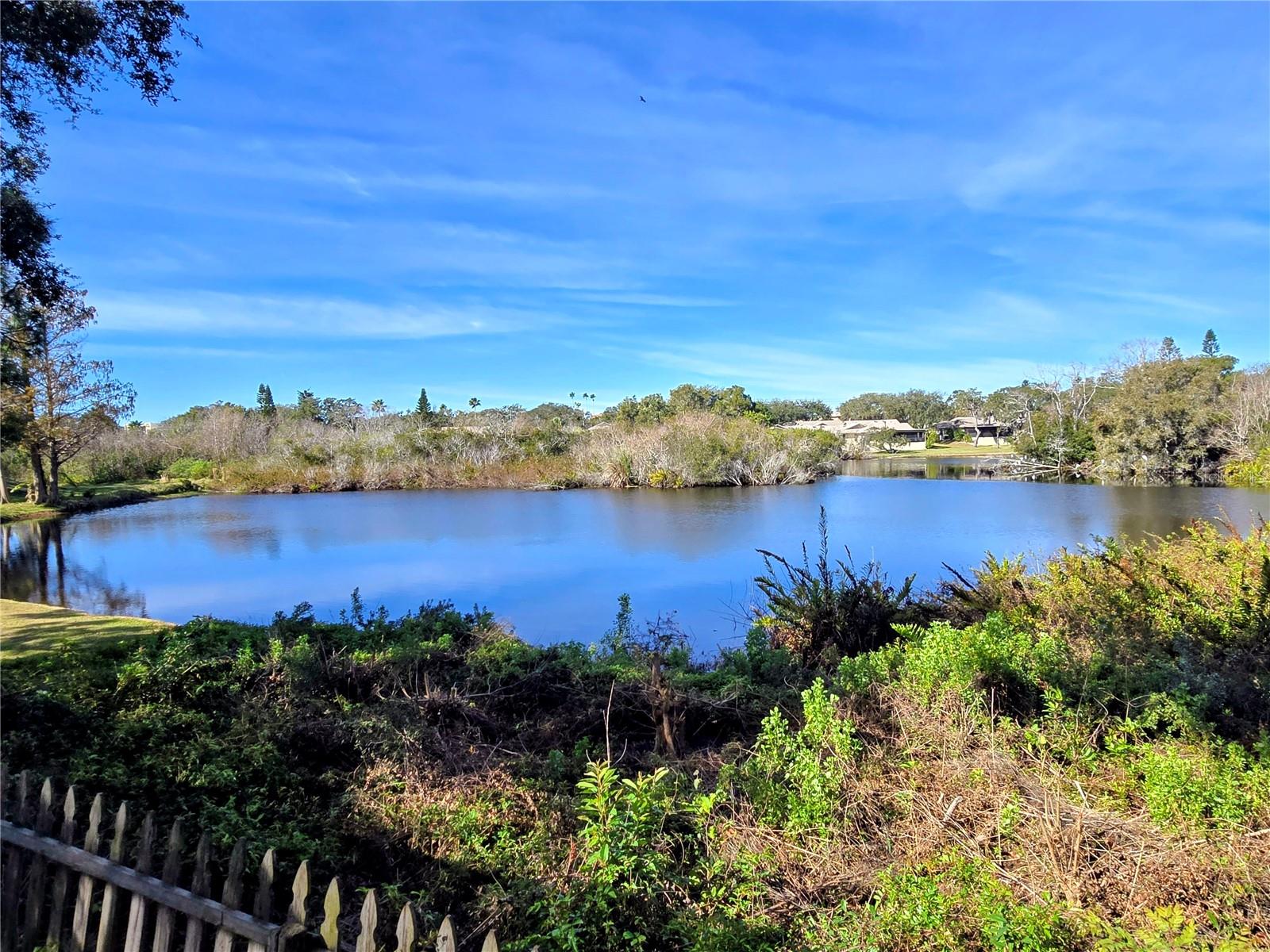 HAMLETS AT WHITCOMB PLACE THE - Residential