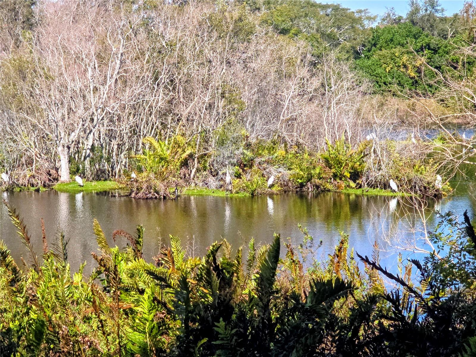 HAMLETS AT WHITCOMB PLACE THE - Residential