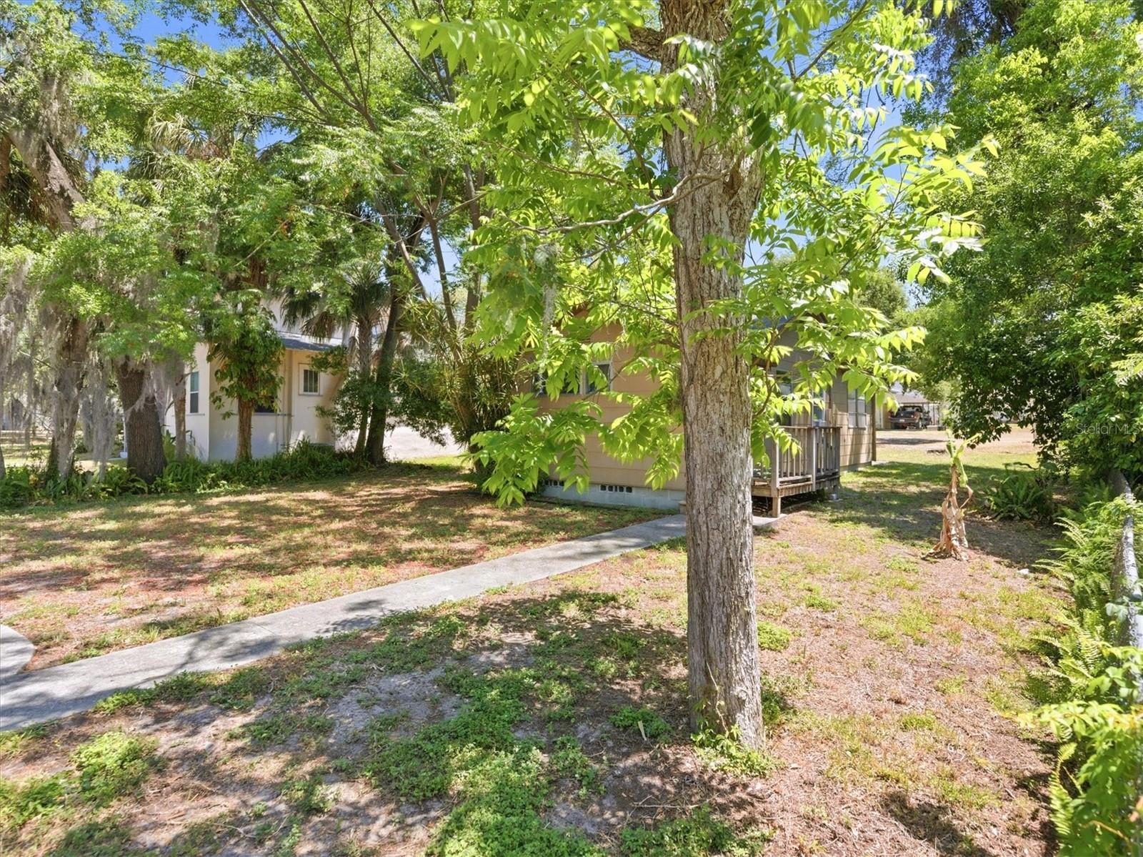 230 6TH AVENUE N