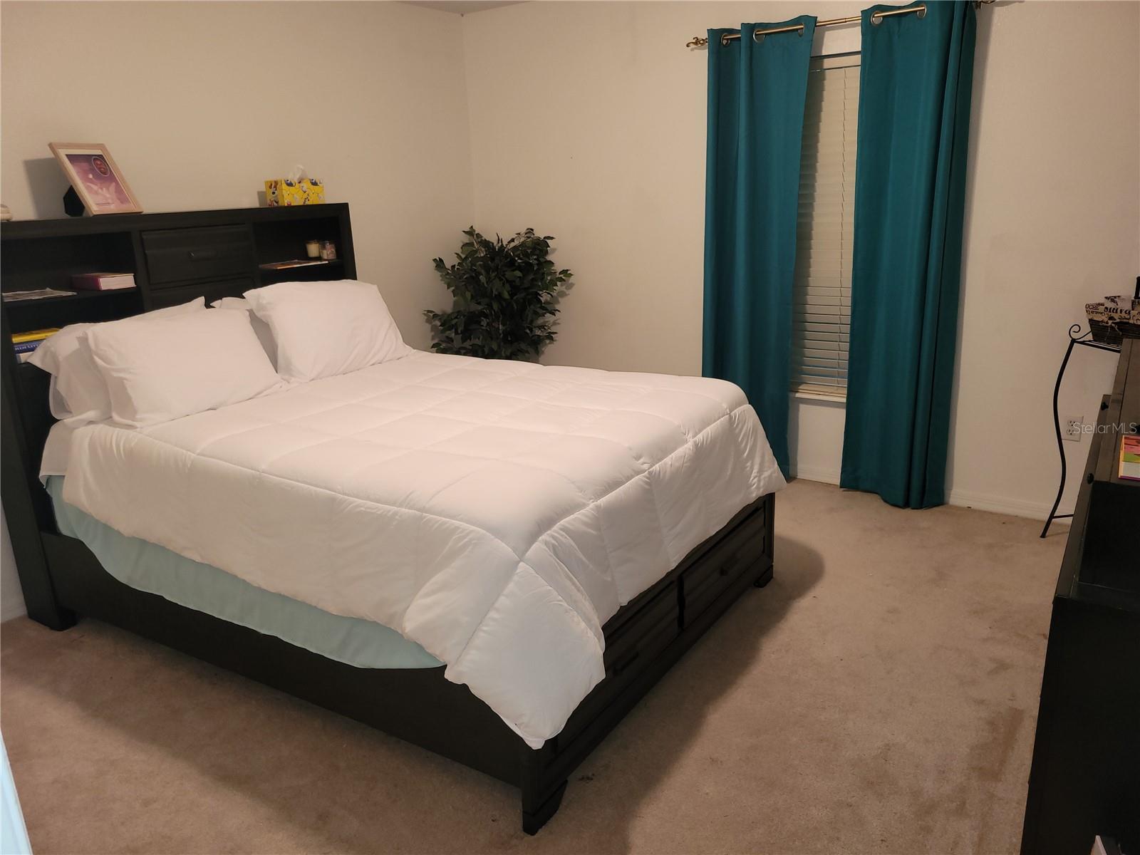 SHEARWATER ESTATES - Residential