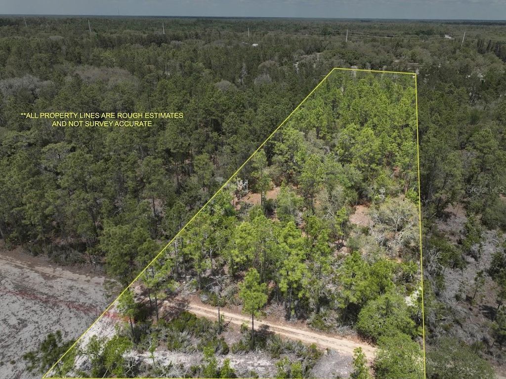 Photo of NE 56th Street, Bronson, FL 32621 (MLS # TB8502814)