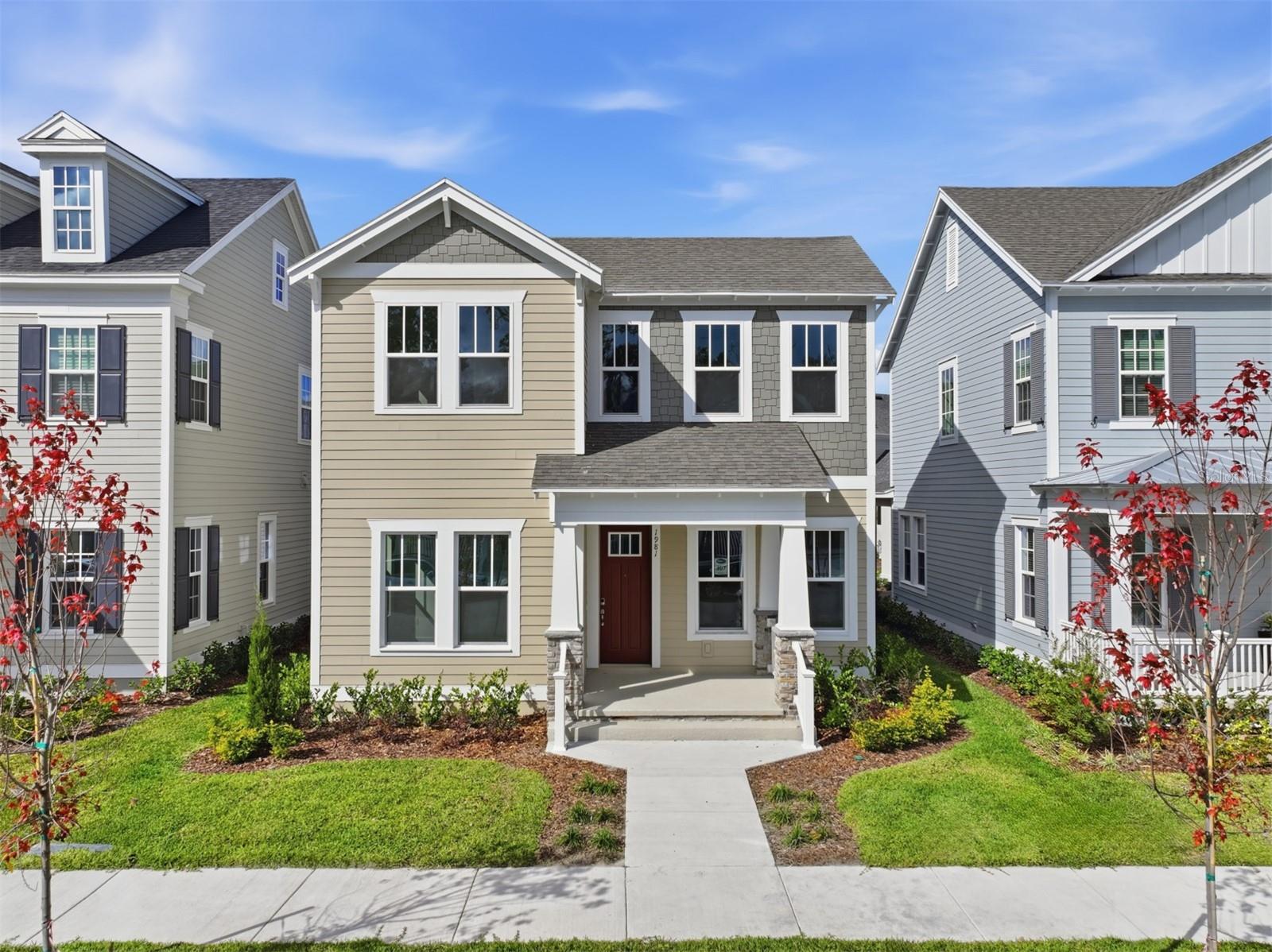 CELEBRATION ISLAND VILLAGE - Residential