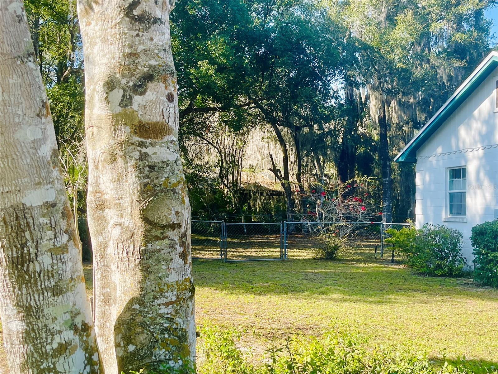 DELAND E 01/2 BLK 117 - Residential