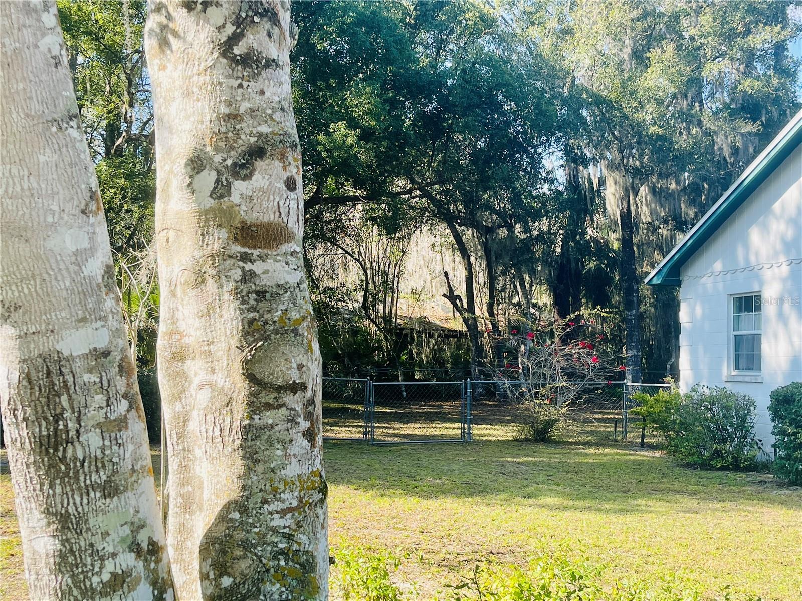 DELAND E 01/2 BLK 117 - Residential