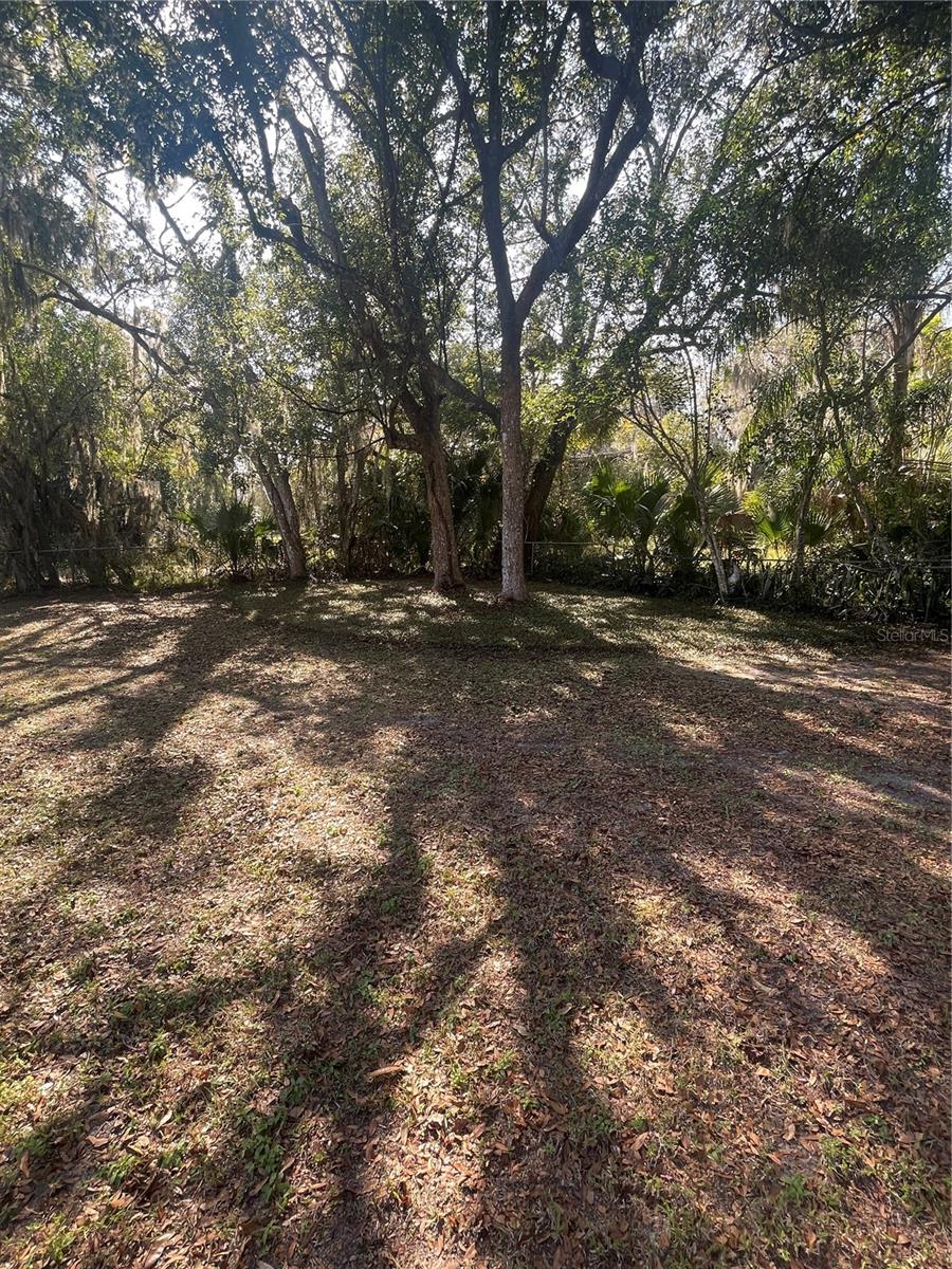 DELAND E 01/2 BLK 117 - Residential