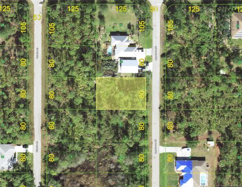 1383 APPALOOSA STREET PUNTA GORDA FL 33980