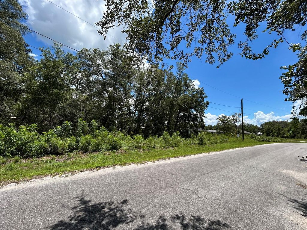 Photo of 0 Malauka Radial Lane, Ocklawaha, FL 32179 (MLS # TB8420741)