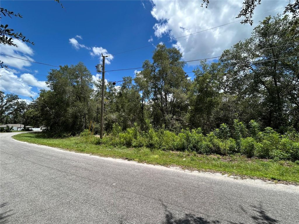 Photo of 0 Malauka Radial Lane, Ocklawaha, FL 32179 (MLS # TB8420741)