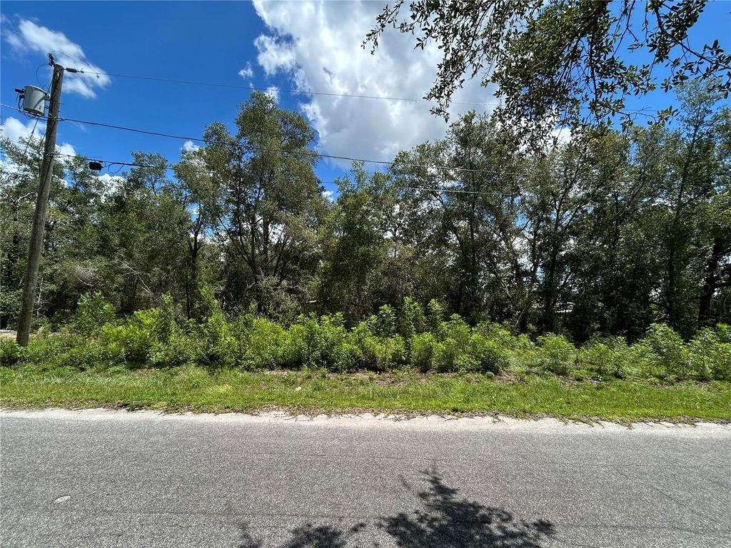 Photo of 0 Malauka Radial Lane, Ocklawaha, FL 32179 (MLS # TB8420741)