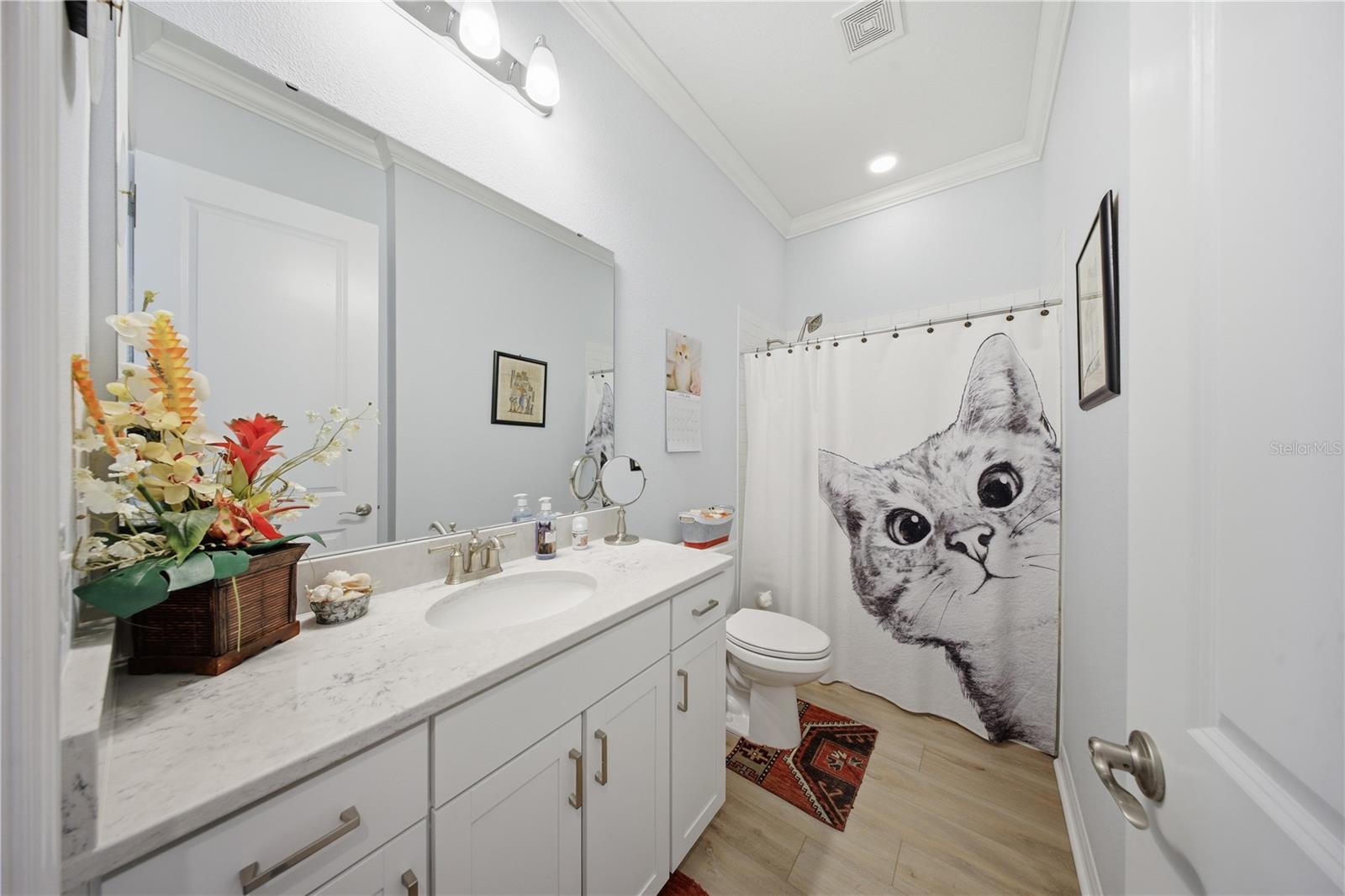 FOUR SEASONS AT ORLANDO PH 4B - Residential