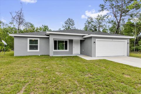 Photo of 11 Malauka Lane Drive, Ocklawaha, FL 32179 (MLS # O6346017)
