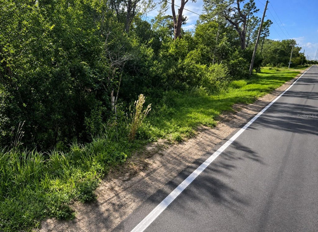 Photo of Alturas Babson Park Cutoff Road, Bartow, FL 33830 (MLS # G5108534)